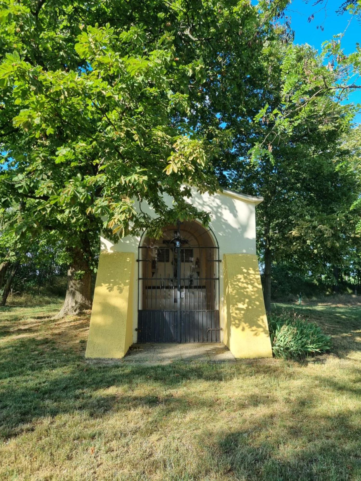Birkenhof Gols - B & B - Wohlfuehl Hotel Mit Wochenend-Restaurant Dış mekan fotoğraf