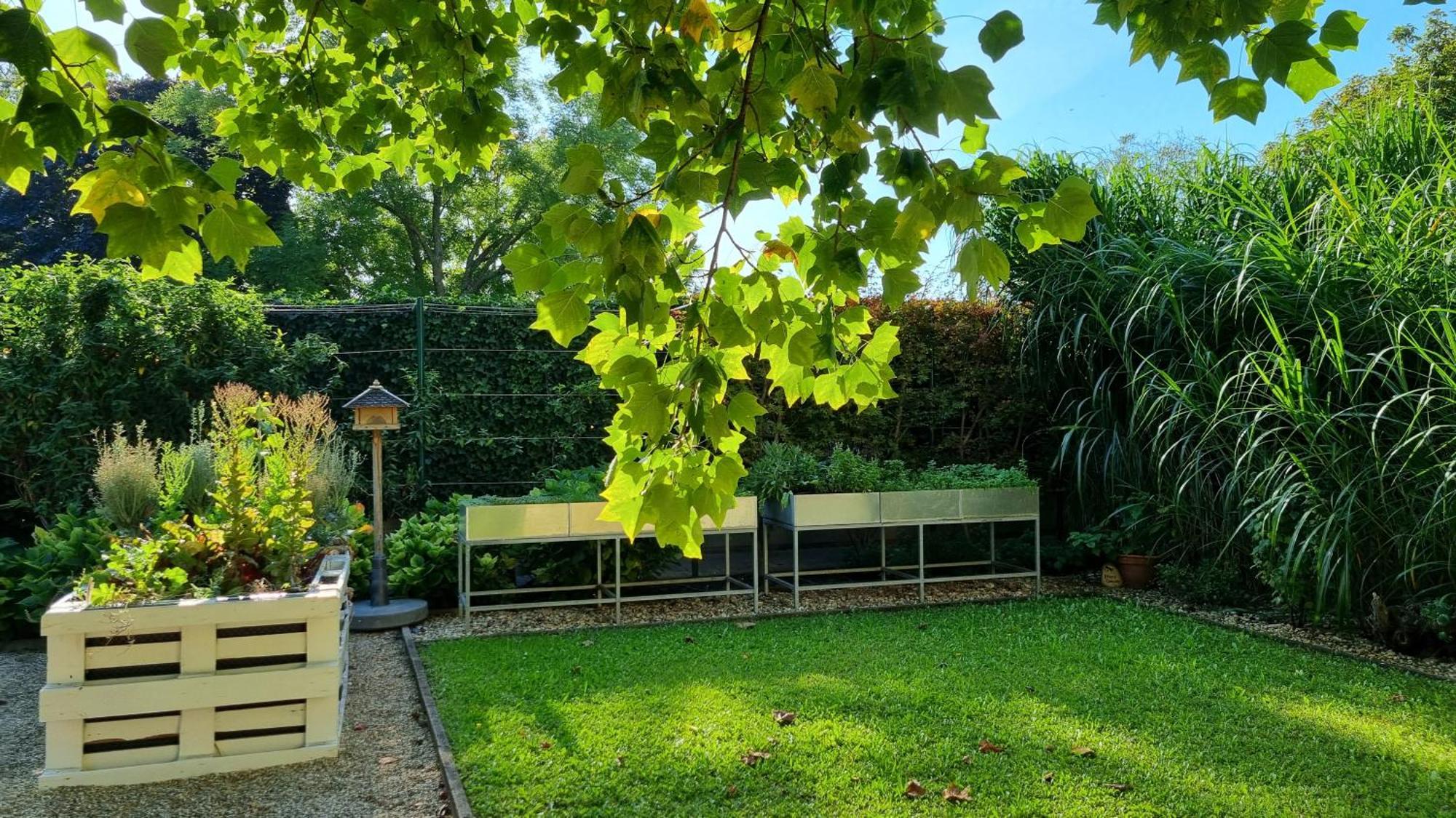 Birkenhof Gols - B & B - Wohlfuehl Hotel Mit Wochenend-Restaurant Dış mekan fotoğraf